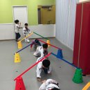 용인대능동태권도 | [학원 셔틀 정보] 용인대송라태권도