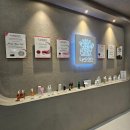 전주 브라질리언 왁싱 추천ㅣ라이콘왁싱 전주 딥뷰티 신시가지점