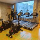 노익스큐즈 이미지