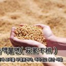 菽麥(숙맥)의 亂(란) 시대 이미지