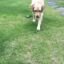 채우리네 이미지