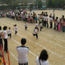 봄내유치원 이미지