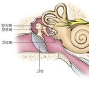 이안 메드 이미지