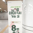 초록향기작은도서관 | [2026] 제18회 중랑 서울장미축제 방문 후기: 서울에서 가장 긴 장미 터널을 걷다
