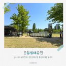 피크닉 도시락 | 청주 아이와가볼만한곳 문암생태공원 피크닉부터 황톳길 체험까지, 알찬 하루 코스!