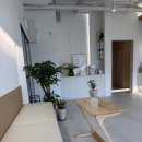 새로고침의원 | [내돈내산 후기] 영등포 편평사마귀 사려니 의원 편평사마귀,비립종,점 제거 /예약/비용