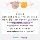 (주)제일메디칼코퍼레이션 | 메가주 참여 베러본&amp;퍼플앤코 후기 - 안전한 강아지 장난감, 실용적인 반려견 카시트