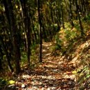 힐리언스 이미지