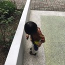 노란 잠수함어린이집 | 국민빨대컵 빨대없는 빨대컵 와우컵 너무편해요! feat.육아는템빨