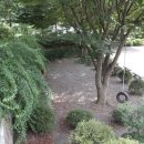 학교안 풍경 캠핑장 이미지