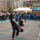 태광체육관 이미지