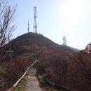 팔공산 하늘정원 이미지