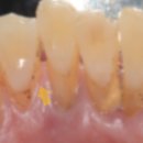 지선메디칼 이미지