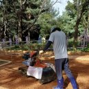 폭신폭신 이미지