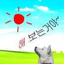 (주)지혜로운세상 | [9월 일상] 자, 지금이라면 이 목소리라면