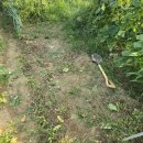 오이도 경로당 이미지