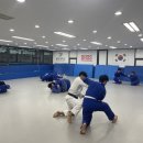 브로스유도관강남대점