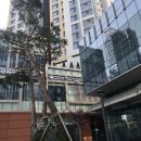박승철헤어스투디오 용산센트럴파크몰점