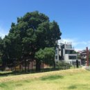 한국국밥 이미지