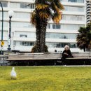 new 구글+SNS+유튜브+최신AI서비스 이미지