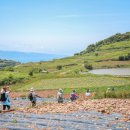 ㈜우리여행사 이미지