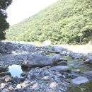 배내시티SA 이미지