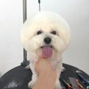 개린이살롱 이미지