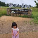 쌍둥이목장 이미지