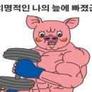 에스앤비피트니스 네이버블로그