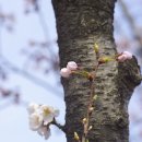 안산 화랑유원지 이미지