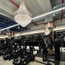 라이언짐 이미지