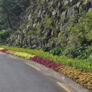 천지동 아랑조을거리 이미지