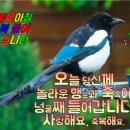 명심보감 이미지