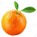 디자인피노미술학원 이미지