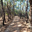 경대자연병원 이미지