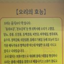 낭낭오리집 남가좌점 이미지