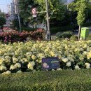 장미원입구 화장실 이미지