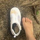 다우한의원 | [7월여행] 필리핀 보홀 2일차 (지금 블로그 쓰는 게 기적. 발리카삭 호핑투어, 라벨라마사지, 라모이...