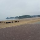 만리포해변 이미지