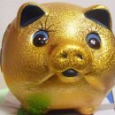 황금돼지 이미지