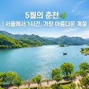소양강스카이워크(춘천도시공사) | 서울에서 1시간, 5월의 춘천이 가장 아름다운 이유 — 지금 당장 떠나야 할 코스 총정리