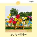 오산 장미축제 고인돌공원 장미빛 축제 일정 주차 먹거리 수원 근교