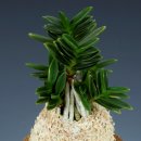 봉호농장 이미지