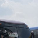 봉계상회 | 충주 뚜벅이 여행 : 관아공원 - 탄금대 - 중앙탑사적공원 (야경맛집 달공원)