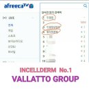 인셀덤발라또그룹