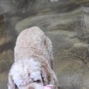 멍이의 품격 이미지