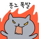 홀리앤졸리 이미지