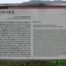 이재 선생 묘 이미지