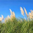 슬도주차장 이미지