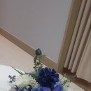원아로마 이미지